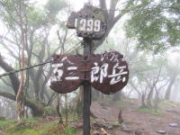 天城山（万二郎岳）の写真です。