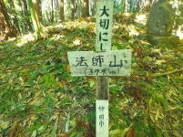 法師山の写真です。