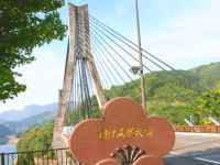 道の駅宇目（唄げんか大橋）の写真です。