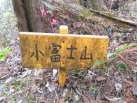 小富士山の写真です。