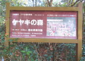 ケヤキの森の看板です。