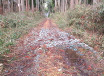 大塚山の写真です。