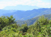 くじゅう連山の写真です。